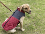 Winter Dog Jacket Windproof Waterproof Pet Coat – Medium & Large Dogs