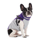 Waterproof Pet Jacket with Harness Winter Warm Coat for Small to Large Dogs Labrador Chihuahua French Bulldog - Outdoor Dog Clothes