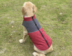 Winter Dog Jacket Windproof Waterproof Pet Coat – Medium & Large Dogs