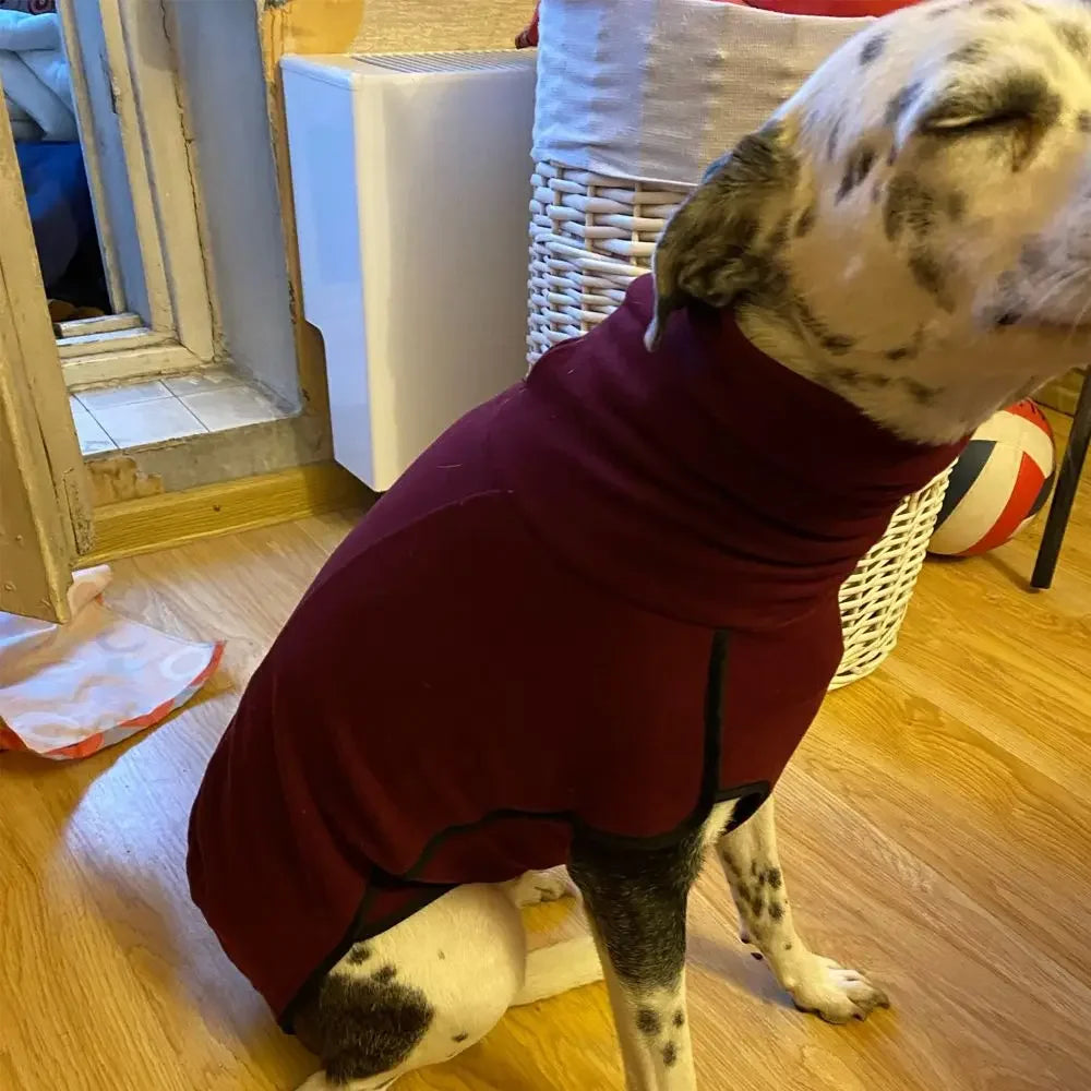 Winter High Collar Dog Sweater – Warm Jumper Coat for Medium & Large Dogs