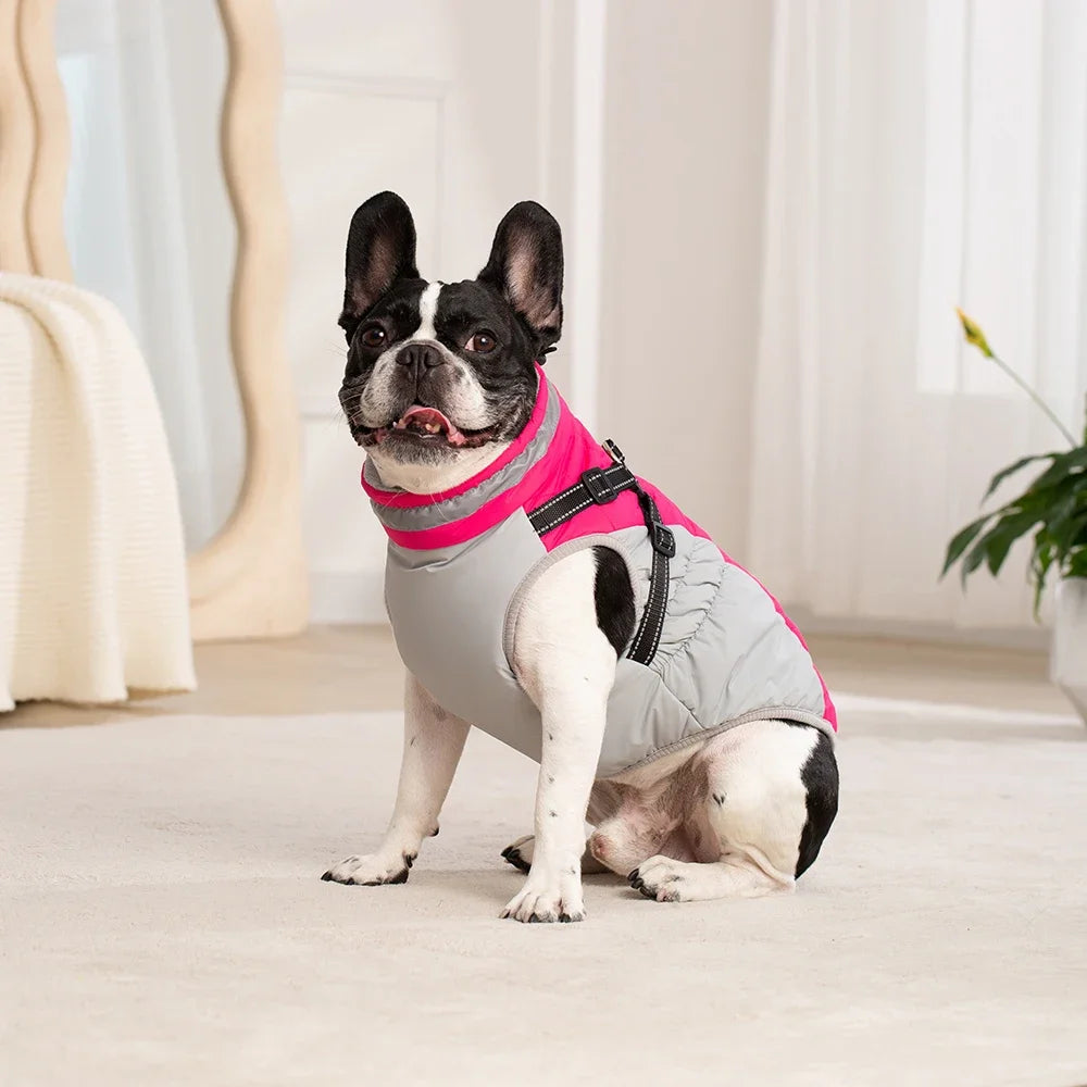 Waterproof Pet Jacket with Harness Winter Warm Coat for Small to Large Dogs Labrador Chihuahua French Bulldog - Outdoor Dog Clothes