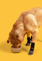 Outdoor Dog Socks – Breathable Non-Slip Waterproof Socks for Medium & Large Dogs, Anti-Shedding Design