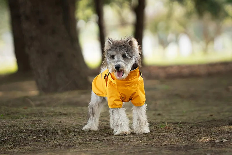 Reflective Waterproof Dog Raincoat – Outdoor Spring Jacket Hoodie for Small & Medium Dogs