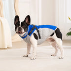 Waterproof Pet Jacket with Harness Winter Warm Coat for Small to Large Dogs Labrador Chihuahua French Bulldog - Outdoor Dog Clothes