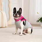 Waterproof Pet Jacket with Harness Winter Warm Coat for Small to Large Dogs Labrador Chihuahua French Bulldog - Outdoor Dog Clothes