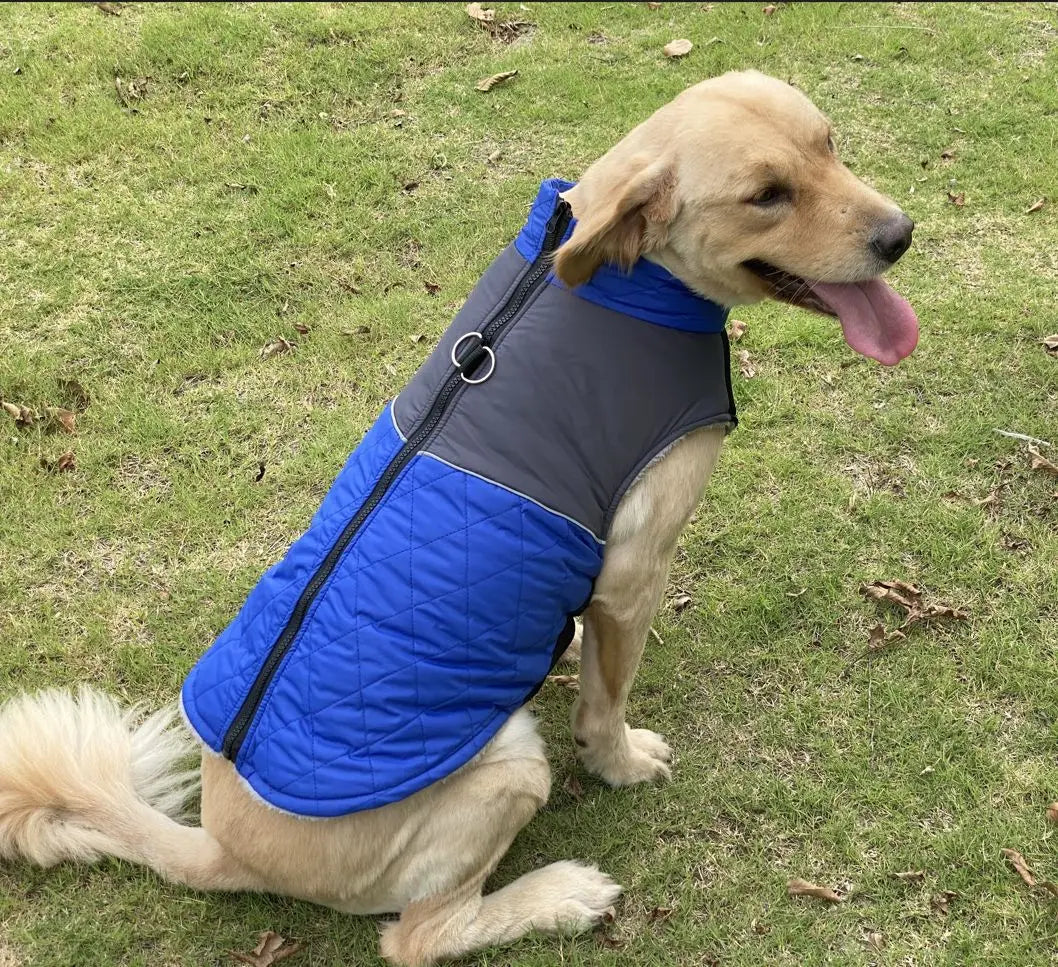 Winter Dog Jacket Windproof Waterproof Pet Coat – Medium & Large Dogs