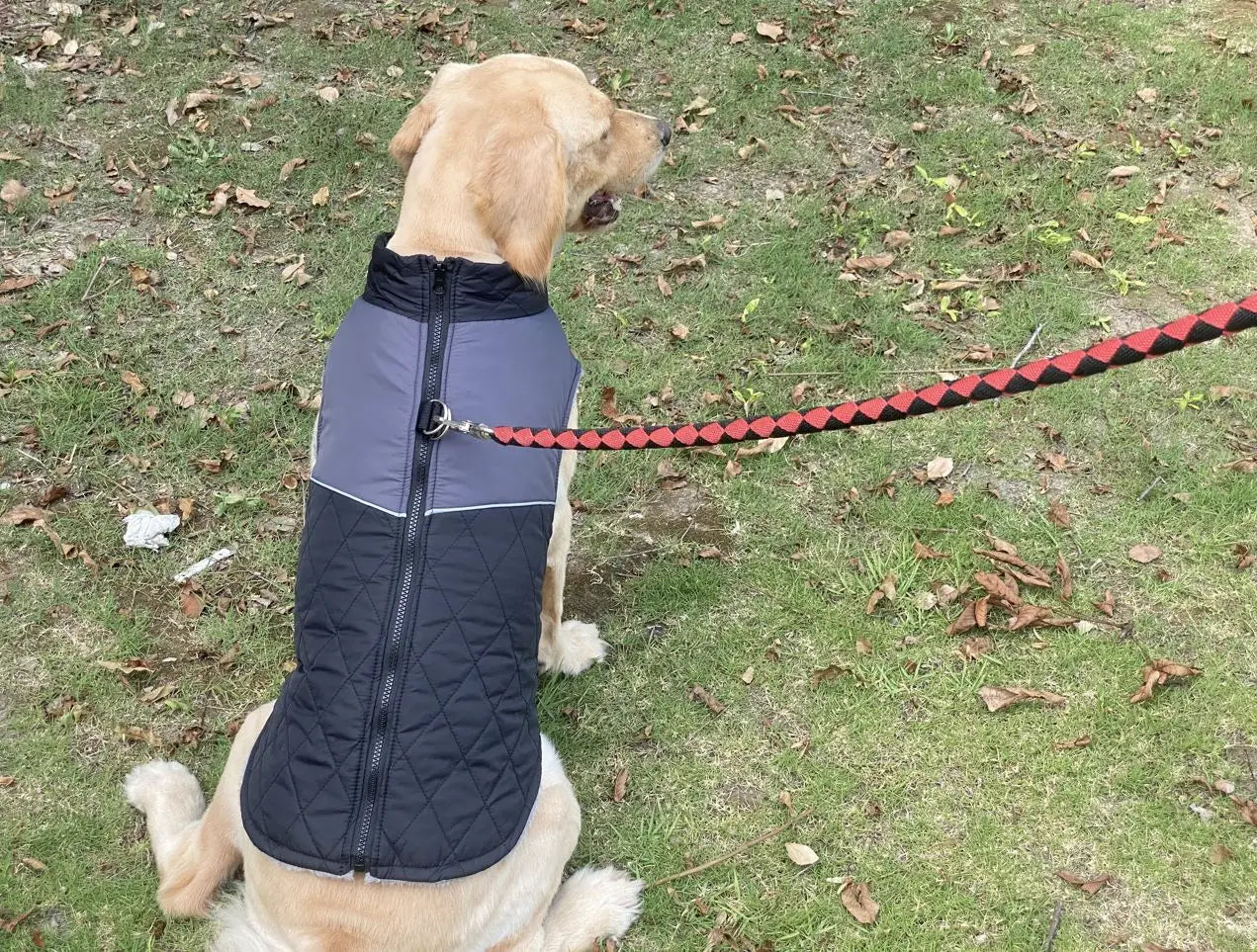 Winter Dog Jacket Windproof Waterproof Pet Coat – Medium & Large Dogs