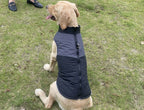 Winter Dog Jacket Windproof Waterproof Pet Coat – Medium & Large Dogs