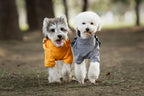 Reflective Waterproof Dog Raincoat – Outdoor Spring Jacket Hoodie for Small & Medium Dogs