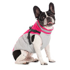 Waterproof Pet Jacket with Harness Winter Warm Coat for Small to Large Dogs Labrador Chihuahua French Bulldog - Outdoor Dog Clothes