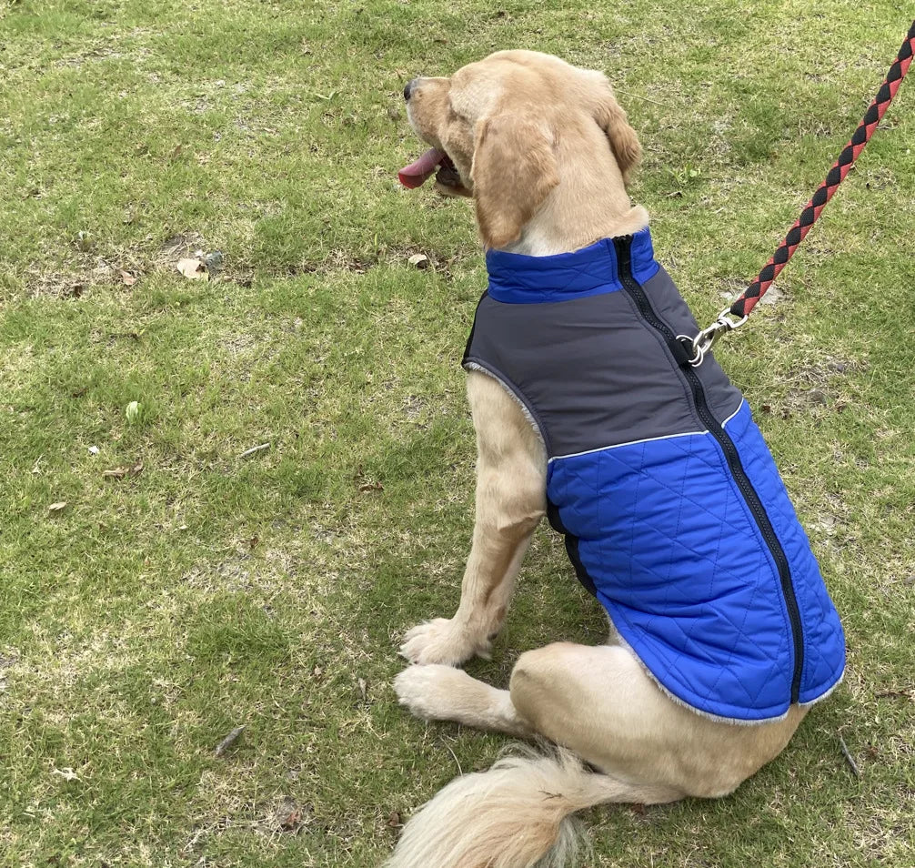 Winter Dog Jacket Windproof Waterproof Pet Coat – Medium & Large Dogs