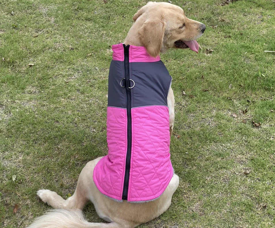 Winter Dog Jacket Windproof Waterproof Pet Coat – Medium & Large Dogs