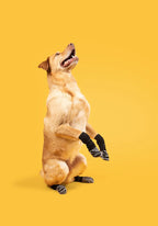 Outdoor Dog Socks – Breathable Non-Slip Waterproof Socks for Medium & Large Dogs, Anti-Shedding Design